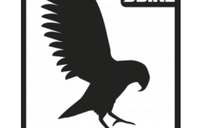 Snowboard Manual Section A update – for sale